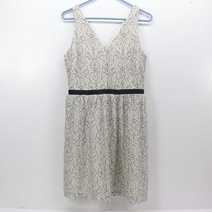 Maurice's Black and White Dress Woman's Size 9 / 10 NWT Back Zip